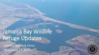 Jamaica Bay Wildlife
Refuge Updates
Jamaica Bay Task Force
November 17, 2022
 