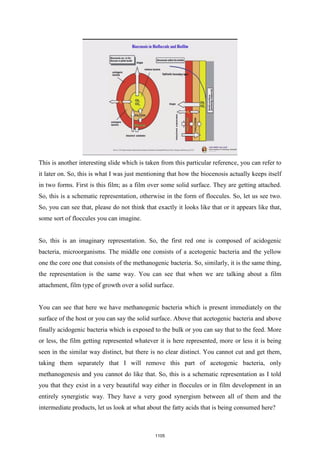 NPTEL - Biomass refinery book.pdf