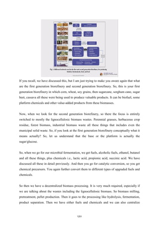 NPTEL - Biomass refinery book.pdf