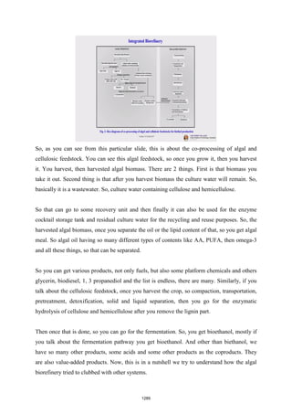 NPTEL - Biomass refinery book.pdf