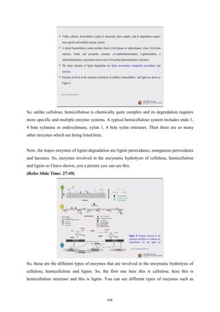NPTEL - Biomass refinery book.pdf