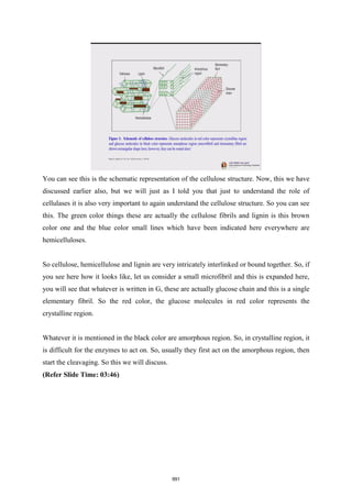 NPTEL - Biomass refinery book.pdf