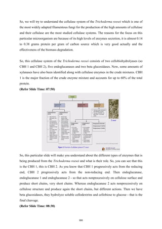 NPTEL - Biomass refinery book.pdf