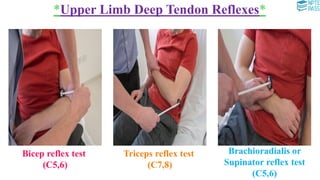 NPTE PASS, Musculoskeletal, Special Tests for All Body Regions.pdf