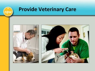 Provide Veterinary Care
 