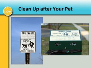 Clean Up after Your Pet
 