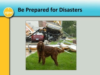 Be Prepared for Disasters
 