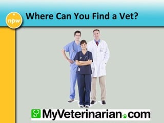 Where Can You Find a Vet?
 