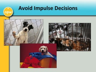 Avoid Impulse Decisions
 