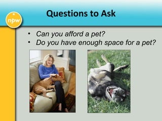 • Can you afford a pet?
• Do you have enough space for a pet?
Questions to Ask
 