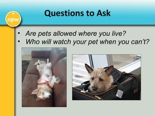 • Are pets allowed where you live?
• Who will watch your pet when you can’t?
Questions to Ask
 