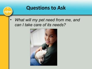 • What will my pet need from me, and
can I take care of its needs?
Questions to Ask
 