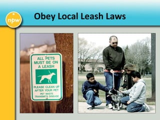 Obey Local Leash Laws
 