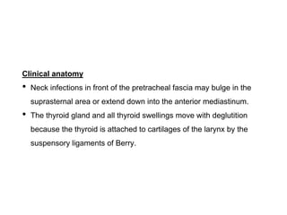 Clinical anatomy
• Neck infections in front of the pretracheal fascia may bulge in the
suprasternal area or extend down into the anterior mediastinum.
• The thyroid gland and all thyroid swellings move with deglutition
because the thyroid is attached to cartilages of the larynx by the
suspensory ligaments of Berry.
 