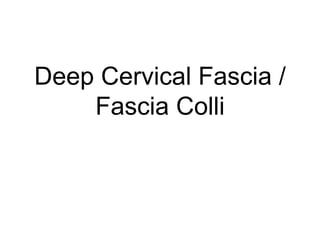 Deep Cervical Fascia /
Fascia Colli
 