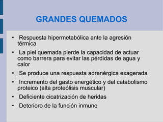 GRANDES QUEMADOS Respuesta hipermetabólica ante la agresión térmica La piel quemada pierde la capacidad de actuar como barrera para evitar las pérdidas de agua y calor Se produce una respuesta adrenérgica exagerada Incremento del gasto energético y del catabolismo proteico (alta proteólisis muscular) Deficiente cicatrización de heridas Deterioro de la función inmune 