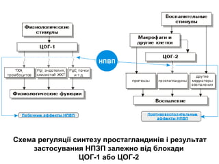 Схема регуляції синтезу простагландинів і результат
застосувания НПЗП залежно від блокади
ЦОГ-1 або ЦОГ-2
 