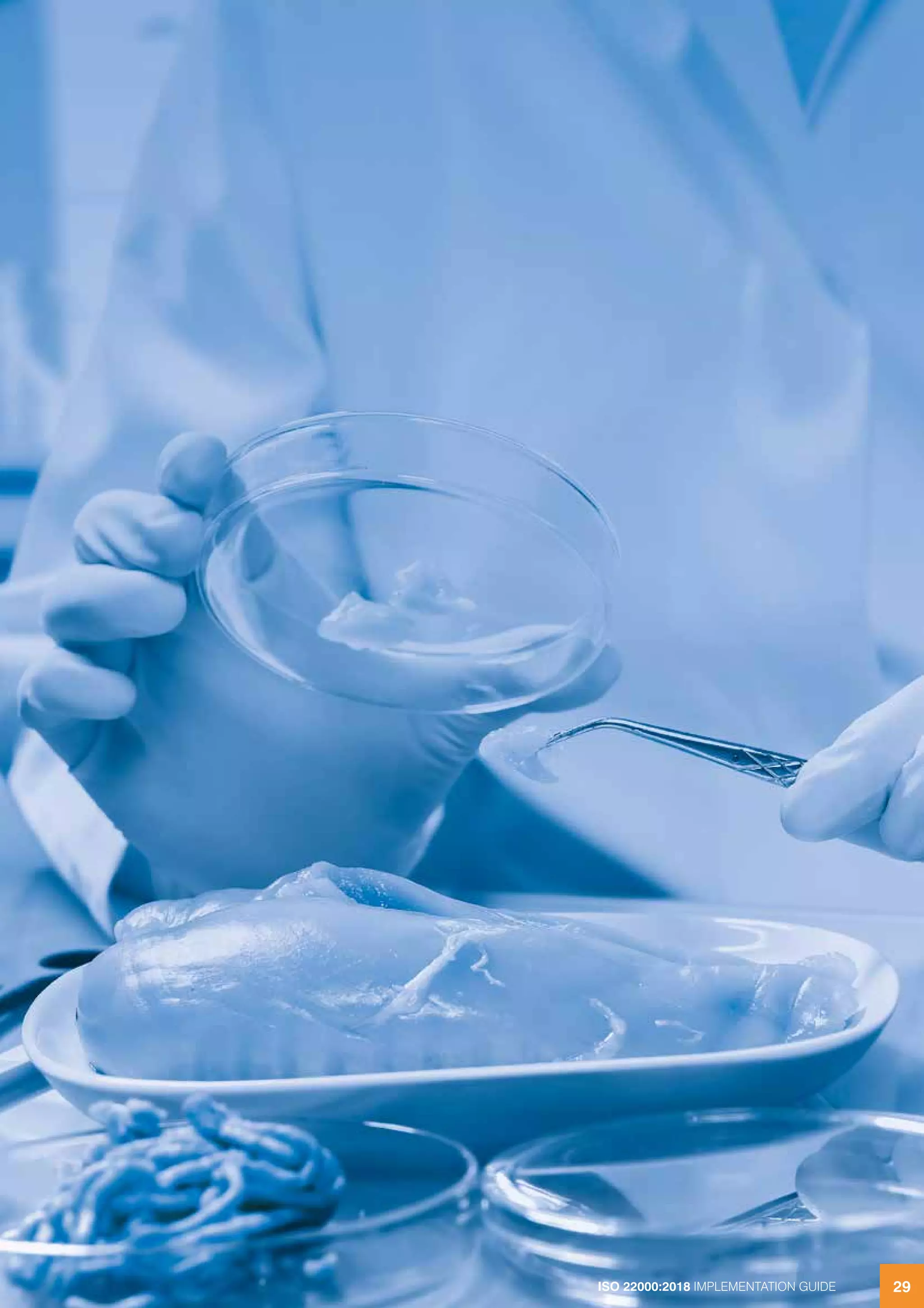 ISO 22000:2018 IMPLEMENTATION GUIDE 2929ISO 22000:2018 IMPLEMENTATION GUIDE
 