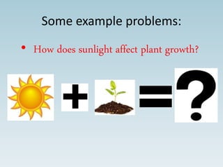 Some example problems:
• How does sunlight affect plant growth?
 