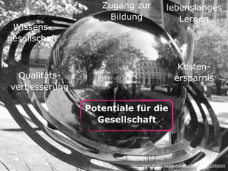 Potentiale für die 
Gesellschaft 
http://www.flickr.com/photos/ell-r-brown/3912248265
lebenslanges 
Lernen 
Wissens- 
gesellschaft 
Zugang zur 
Bildung 
Kosten- 
ersparnis Qualitäts- 
verbesserung 
 