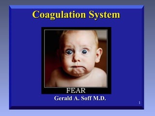 Coagulation SystemCoagulation System
Gerald A. Soff M.D.Gerald A. Soff M.D.
1
 