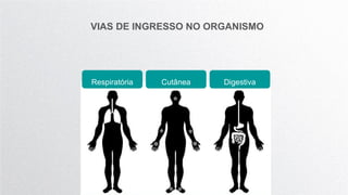 VIAS DE INGRESSO NO ORGANISMO
Respiratória Cutânea Digestiva
 