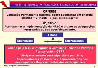 NR.10 - SEGURANÇA EM INSTALAÇÕES E SERVIÇOS EM ELETRICIDADE

                             CPNSEE
                             CPNSEE
 Comissão Permanente Nacional sobre Segurança em Energia
 Comissão Permanente Nacional sobre Segurança em Energia
          Elétrica – CPNSEE e-mail: dsst@mte.gov.br
           Elétrica – CPNSEE e-mail: dsst@mte.gov.br
                             Objetivo:
                             Objetivo:
Acompanhar a implementação da NR10 e propor as adequações
Acompanhar a implementação da NR10 e propor as adequações
           necessárias ao seu aperfeiçoamento.
            necessárias ao seu aperfeiçoamento.

                                  Estado
            Empregados                        Empregadores

  Criada pelo MTE e integrada à Comissão Tripartite Paritária
  Criada pelo MTE e integrada à Comissão Tripartite Paritária
                     Permanente -- CTPP.
                     Permanente CTPP.
             Obrigatoriamente será tripartite e paritária;
              Obrigatoriamente será tripartite e paritária;
           Representantes do Governo / Representantes dos
           Representantes do Governo / Representantes dos
          empregados / Representantes dos empregadores
          empregados / Representantes dos empregadores
Eng. Joaquim Gomes Pereira
                                                                   4
 