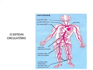 .
O SISTEMA
CIRCULATÓRIO
 