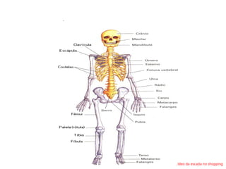 .
Vídeo da escada no shopping
 