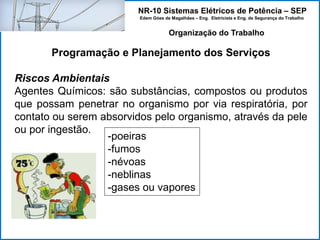 NR-10 Sistemas Elétricos de Potência – SEP
Edem Góes de Magalhães – Eng. Eletricista e Eng. de Segurança do Trabalho
Programação e Planejamento dos Serviços
Riscos Ambientais
Agentes Químicos: são substâncias, compostos ou produtos
que possam penetrar no organismo por via respiratória, por
contato ou serem absorvidos pelo organismo, através da pele
ou por ingestão.
Organização do Trabalho
-poeiras
-fumos
-névoas
-neblinas
-gases ou vapores
 