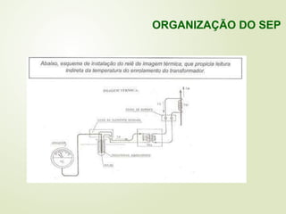 ORGANIZAÇÃO DO SEP
 