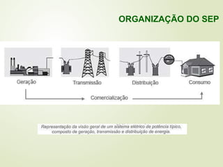 ORGANIZAÇÃO DO SEP
 
