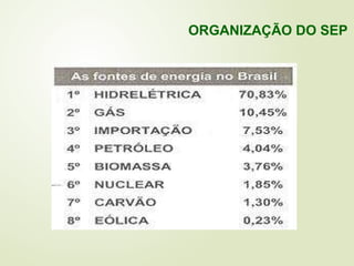 ORGANIZAÇÃO DO SEP
 