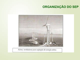 ORGANIZAÇÃO DO SEP
 