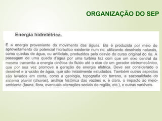 ORGANIZAÇÃO DO SEP
 