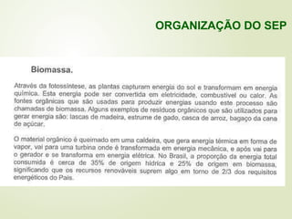 ORGANIZAÇÃO DO SEP
 