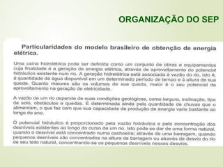 ORGANIZAÇÃO DO SEP
 