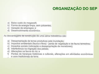 ORGANIZAÇÃO DO SEP
 