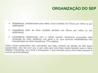 ORGANIZAÇÃO DO SEP
 