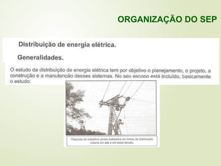 ORGANIZAÇÃO DO SEP
 
