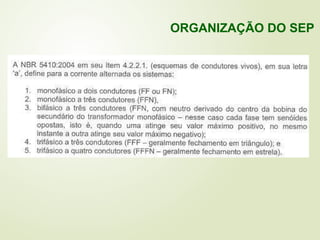 ORGANIZAÇÃO DO SEP
 