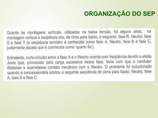ORGANIZAÇÃO DO SEP
 