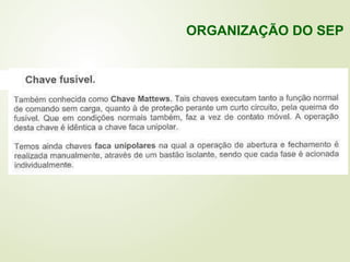 ORGANIZAÇÃO DO SEP
 