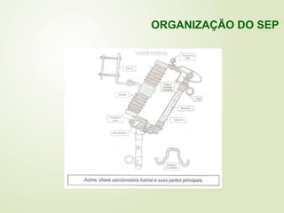 ORGANIZAÇÃO DO SEP
 