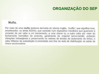 ORGANIZAÇÃO DO SEP
 