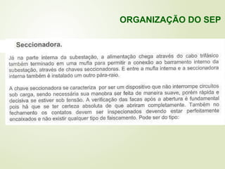 ORGANIZAÇÃO DO SEP
 