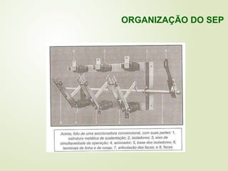 ORGANIZAÇÃO DO SEP
 