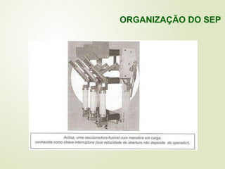 ORGANIZAÇÃO DO SEP
 