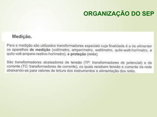 ORGANIZAÇÃO DO SEP
 