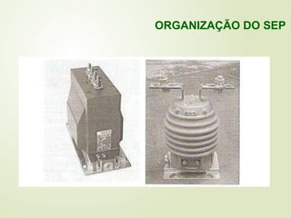 ORGANIZAÇÃO DO SEP
 